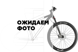 Горный велосипед WELT Ridge 1.1 D 29 (2024)