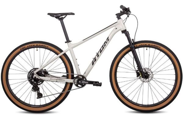 Велосипед ATOM BION NINE LTD (2024) Велосипед ATOM BION NINE LTD (2024)